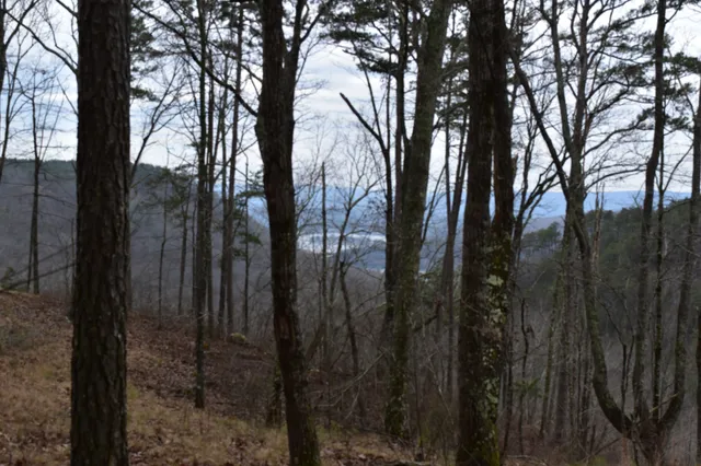a view of mountain view with lots of trees