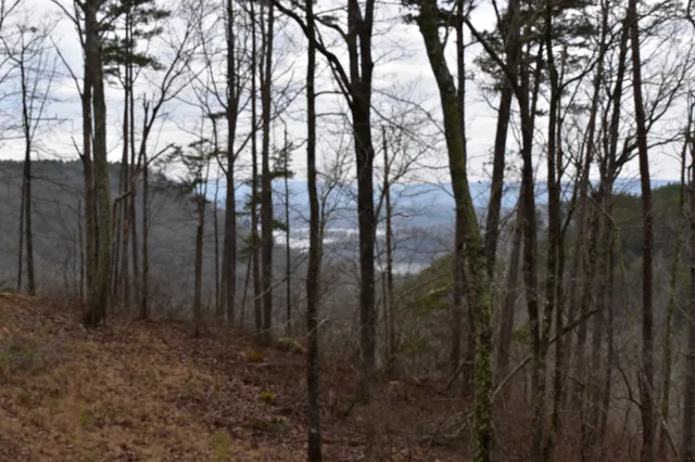 a view of mountain view with lots of trees