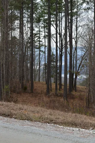 a backyard of a house