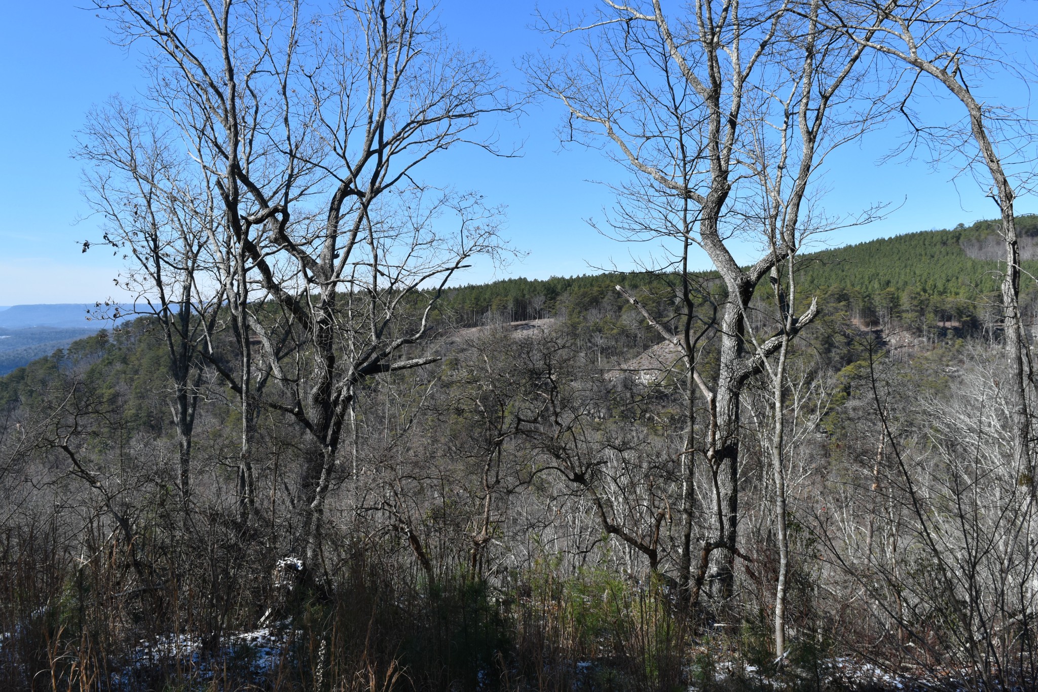 0 Birds Eye Way Guild, TN 37340 - Photo 39 of 50