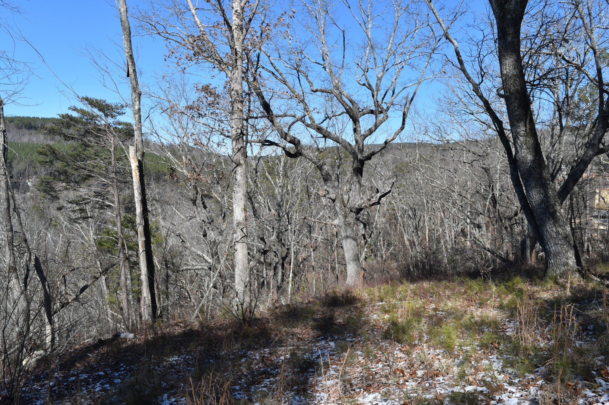 0 Birds Eye Way Guild, TN 37340 - Photo 41 of 50