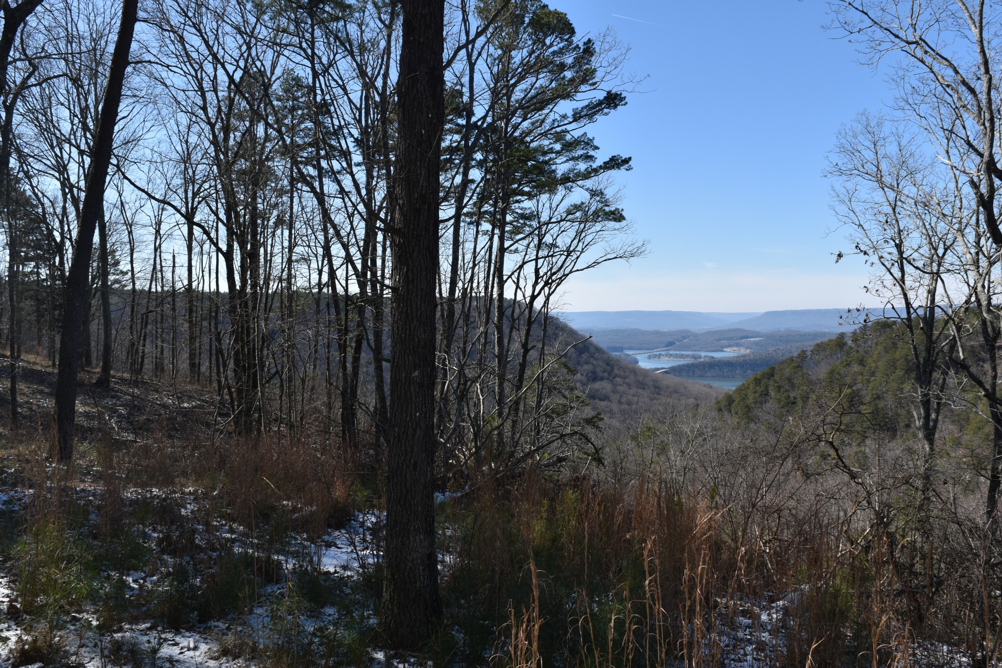 0 Birds Eye Way Guild, TN 37340 - Photo 42 of 50
