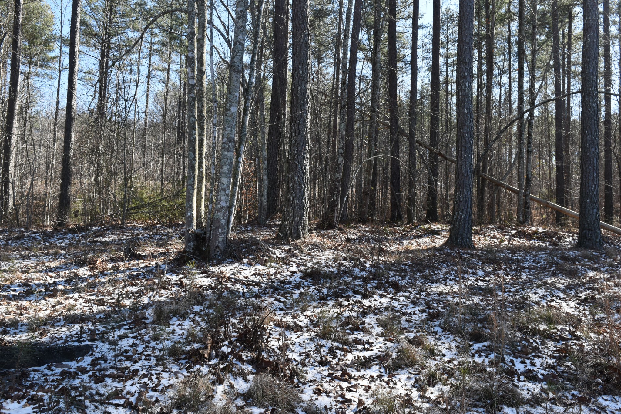 0 Birds Eye Way Guild, TN 37340 - Photo 43 of 50