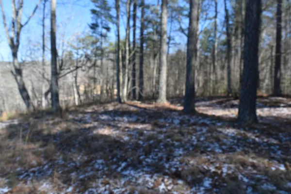 $799,000 | 0 Birds Eye Way, Guild, TN 37340