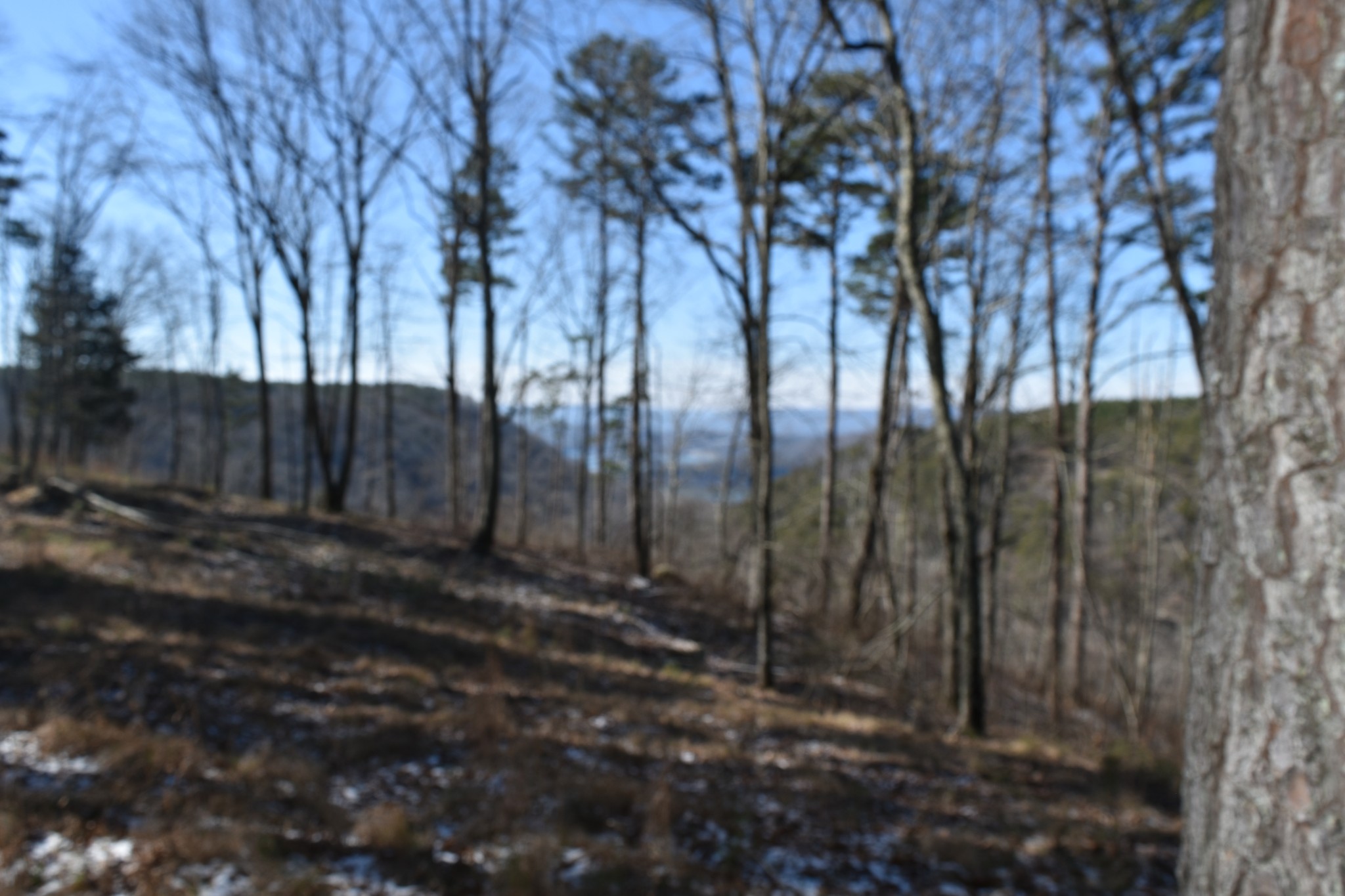 0 Birds Eye Way Guild, TN 37340 - Photo 50 of 50