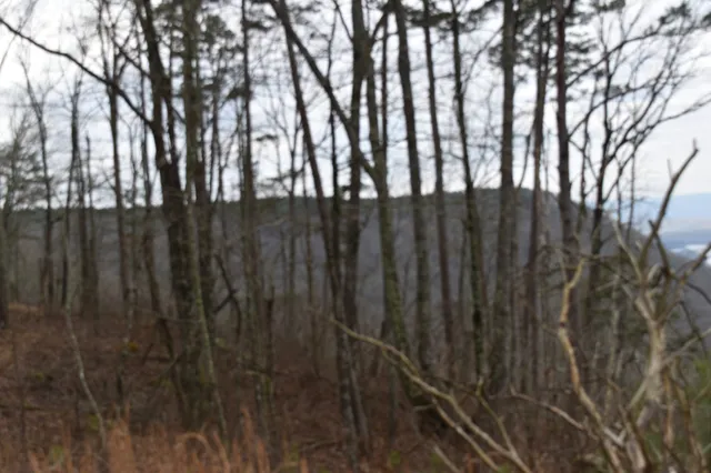 a view of a backyard of the house