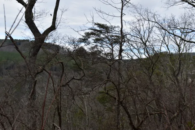 a view of a yard next to a road