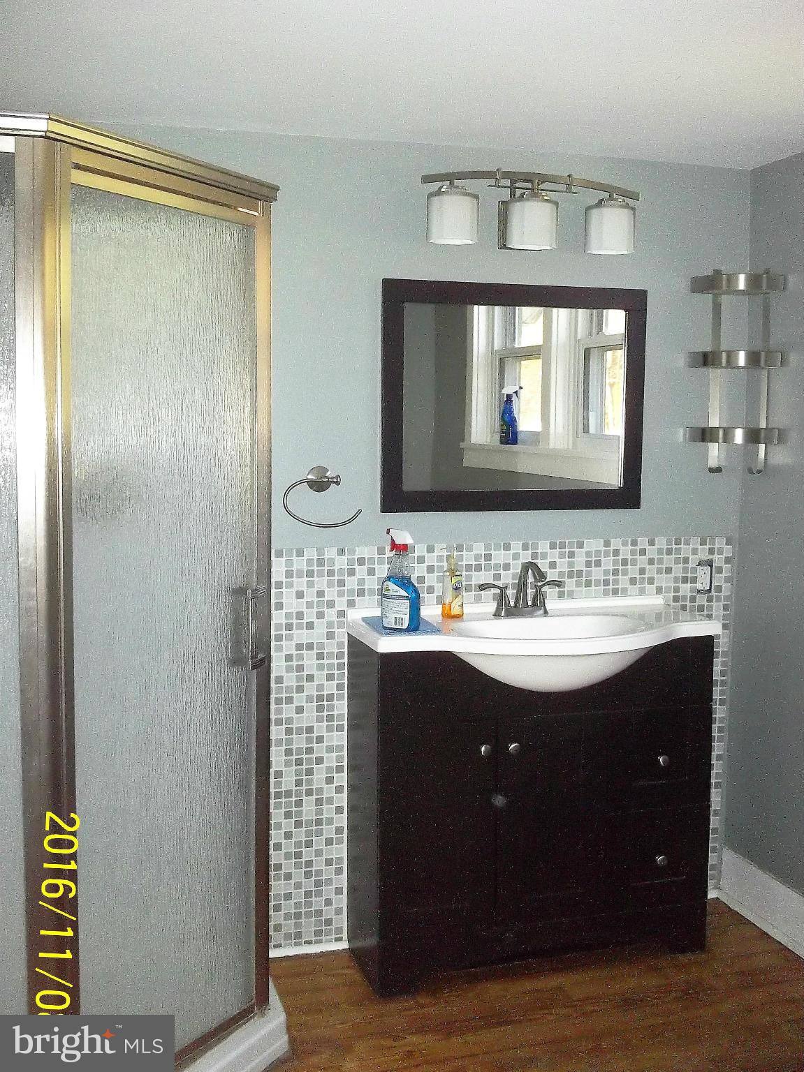 227 Porters Bridge Road Colora, MD 21917 - Photo 25 of 30 Bath (Master)