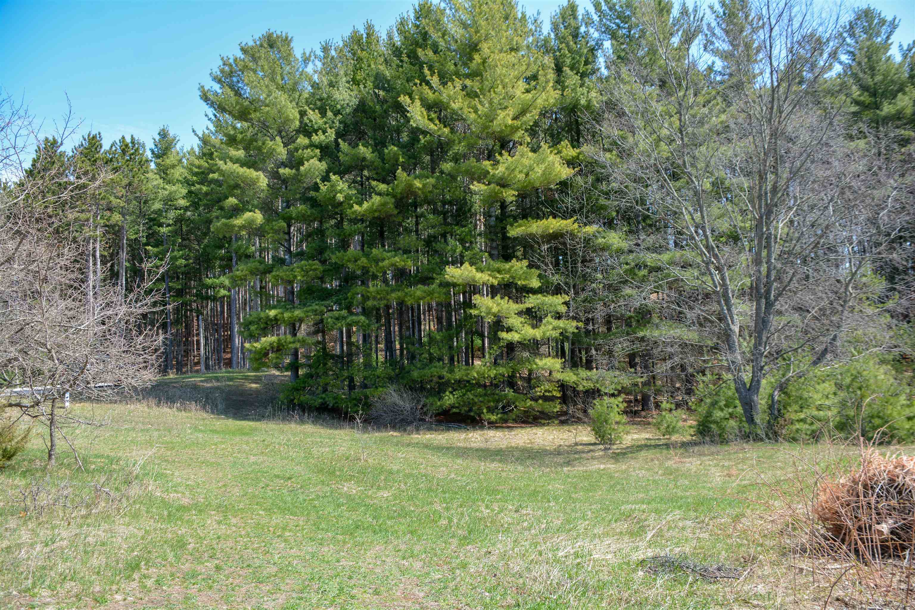 0 North Four Mile Road Traverse City, MI 49696 - Photo 9 of 28 1929852-469bf913-b312-4f09-acbb-c2a67a80ad4b.JPG
