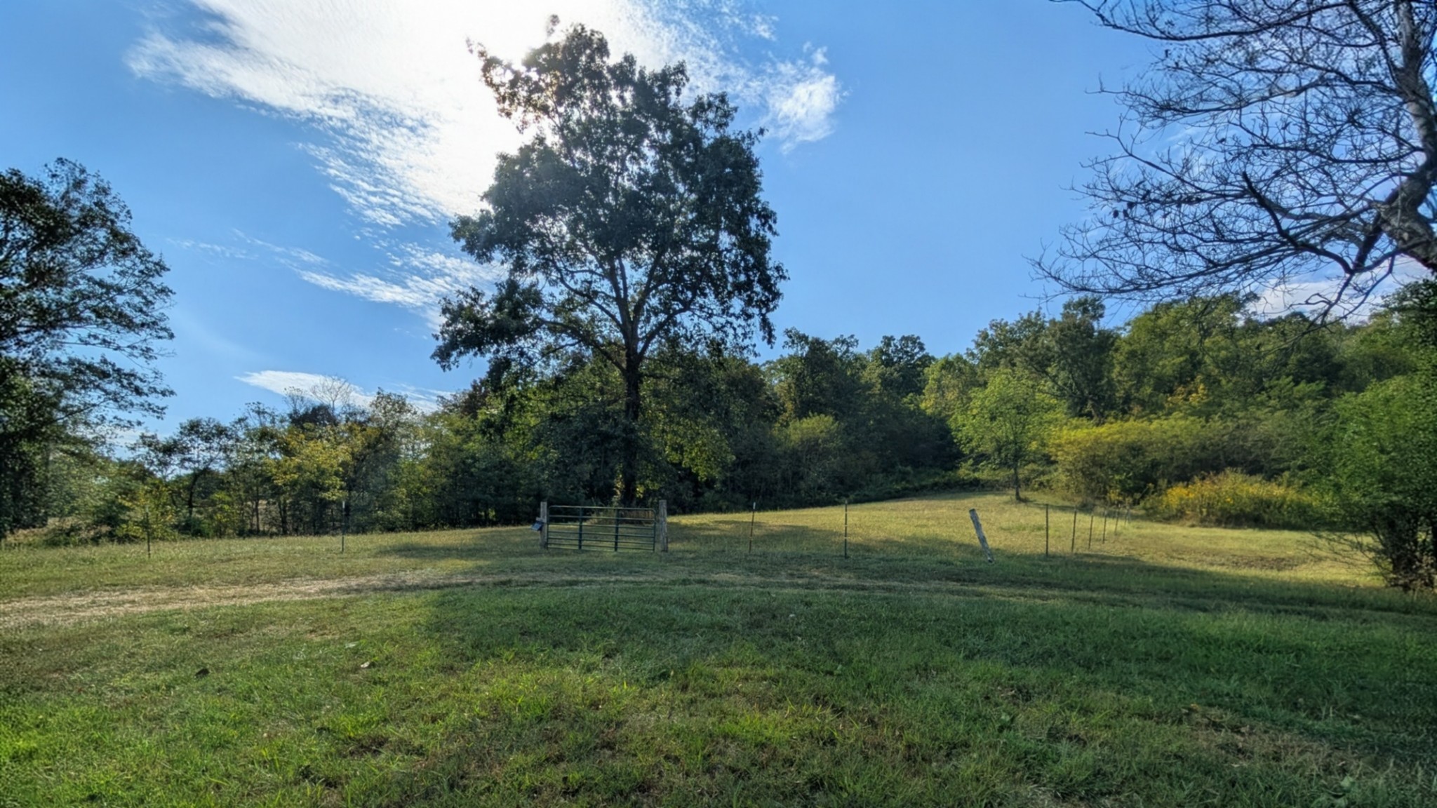 2490 Clampit Hollow Road Lafayette, TN 37083 - Photo 37 of 55 a view of outdoor space with green field and trees all around