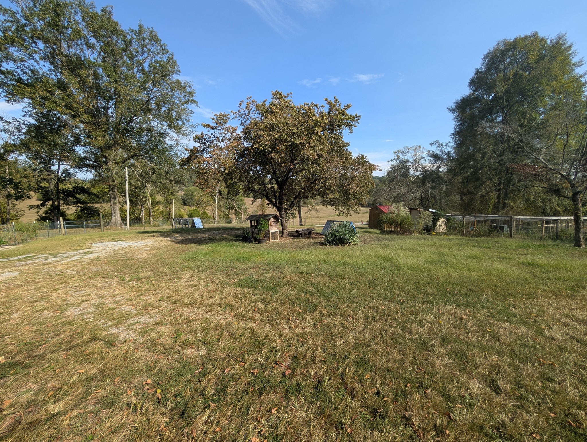 2490 Clampit Hollow Road Lafayette, TN 37083 - Photo 40 of 55 a view of a tree in a park