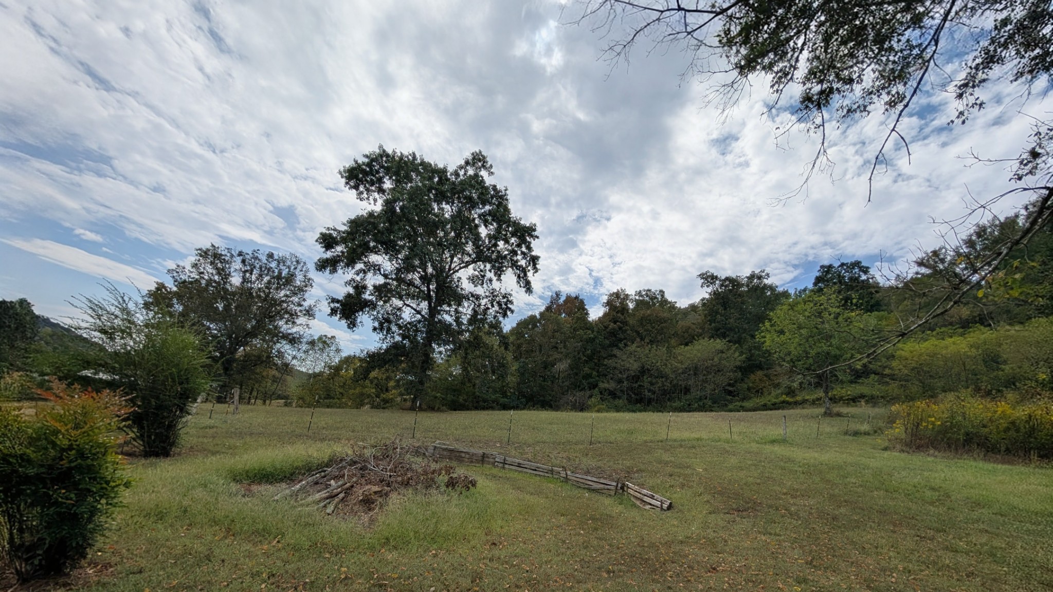 2490 Clampit Hollow Road Lafayette, TN 37083 - Photo 46 of 55 a view of a field with trees in background