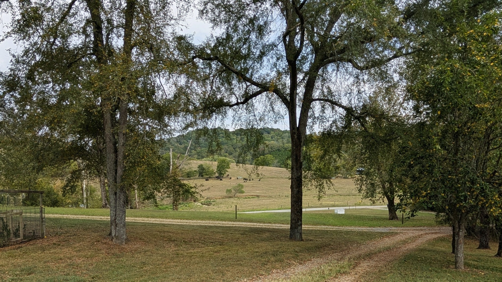 2490 Clampit Hollow Road Lafayette, TN 37083 - Photo 54 of 55 a view of a park