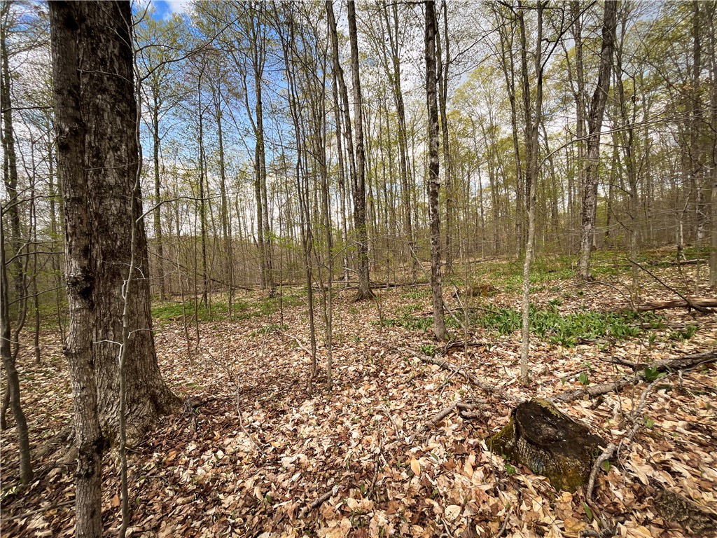 West Creek Road Richford, NY 13835 - Photo 14 of 44