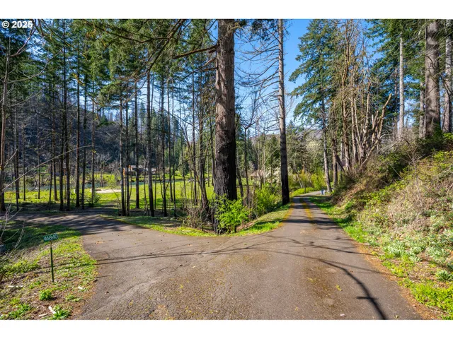 $1,350,000 | 46836 McKenzie Highway, Vida, OR 97488