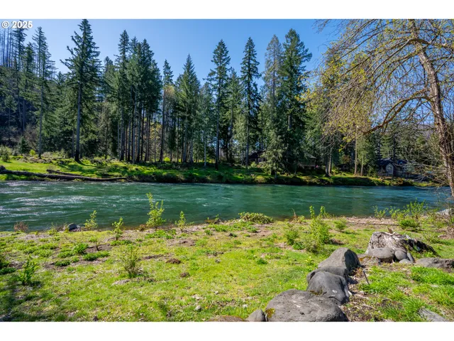 $1,350,000 | 46836 McKenzie Highway, Vida, OR 97488
