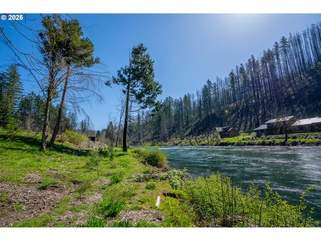 $1,350,000 | 46836 McKenzie Highway, Vida, OR 97488