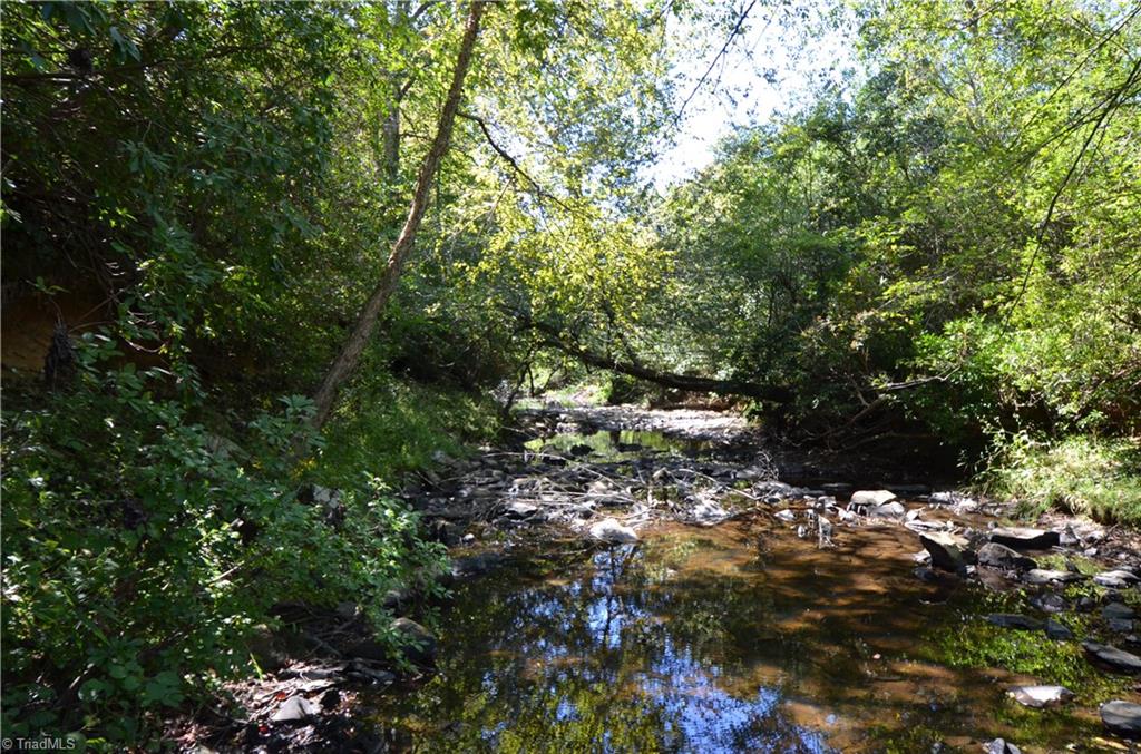 1 Lewis Brown Road Bennett, NC 27208 - Photo 3 of 3