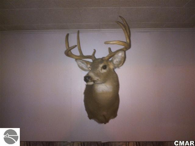 8649 West Deerfield Road Blanchard, MI 49310 - Photo 22 of 22 1772501-21.JPG