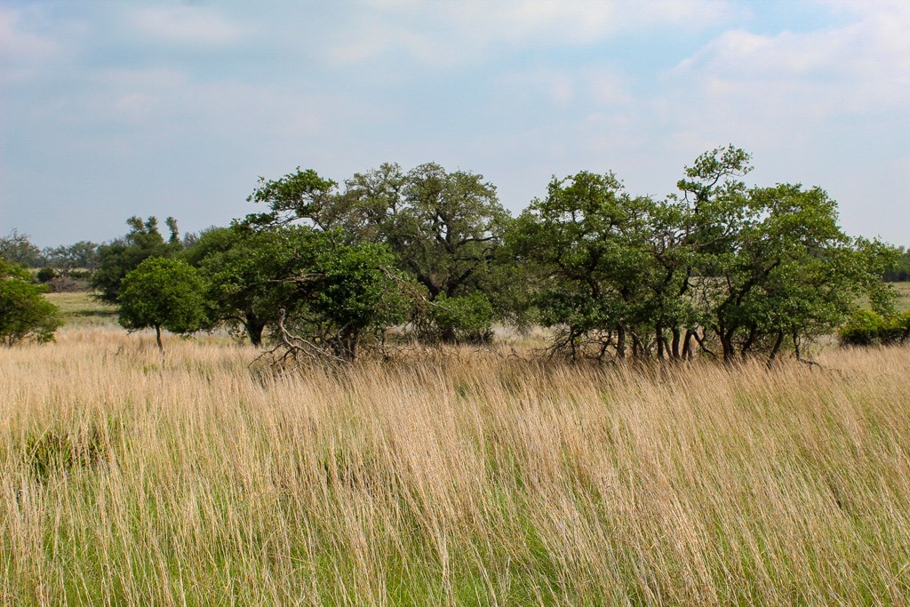 137 Lipan Loop, Unit 17 Harper, TX 78631 - Photo 3 of 3