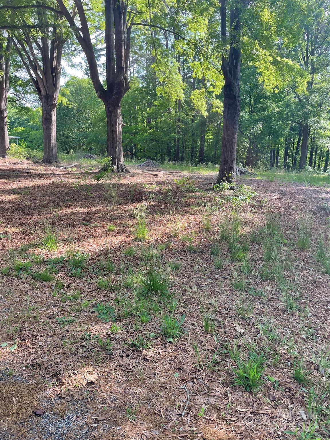 0 Rolling Road Kannapolis, NC 28081 - Photo 3 of 4 Gallery Image 3
