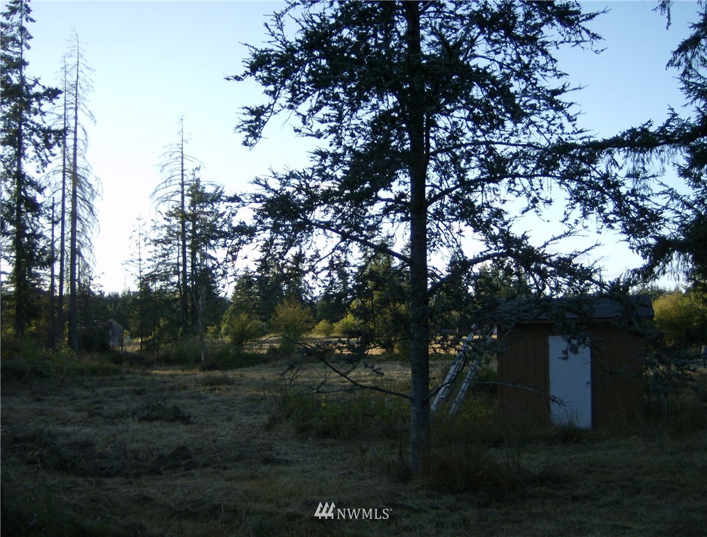 293 Hart Road Winlock, WA 98596 - Photo 11 of 14
