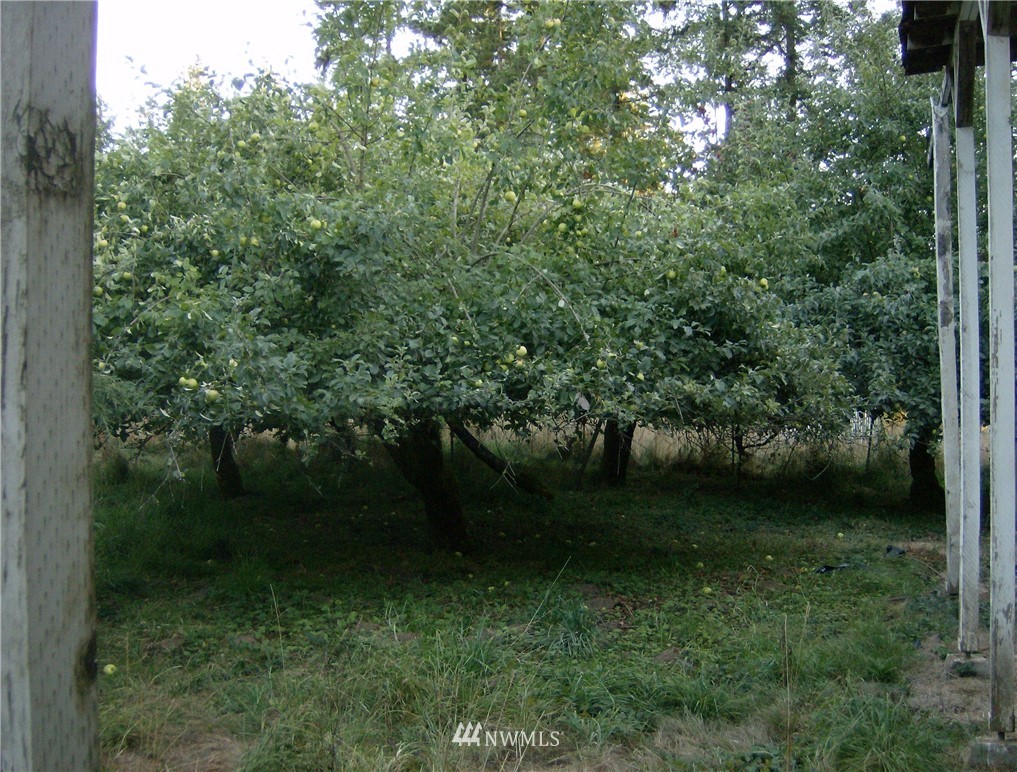 293 Hart Road Winlock, WA 98596 - Photo 13 of 14