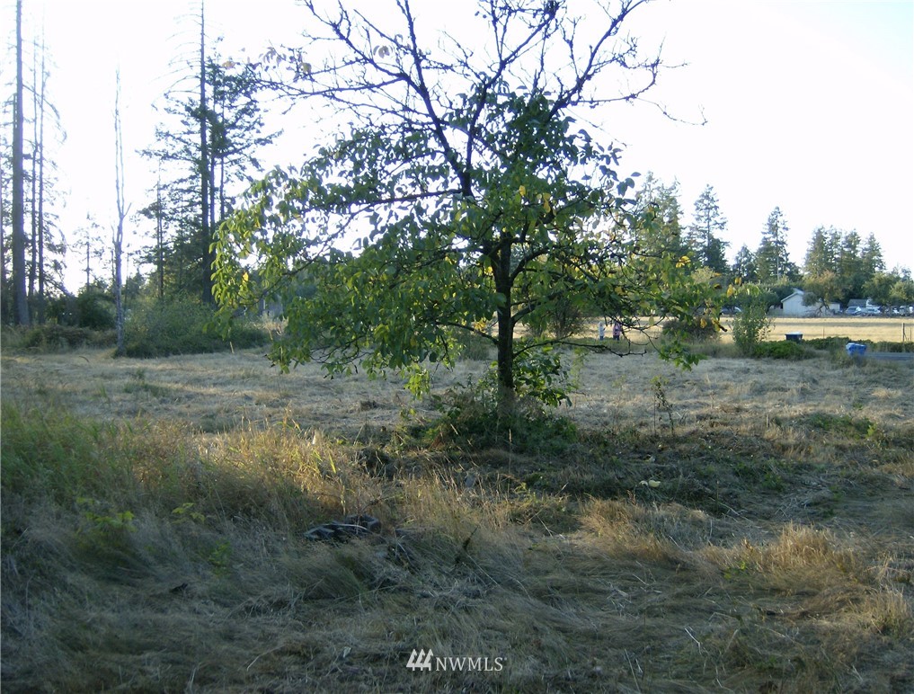 293 Hart Road Winlock, WA 98596 - Photo 4 of 14