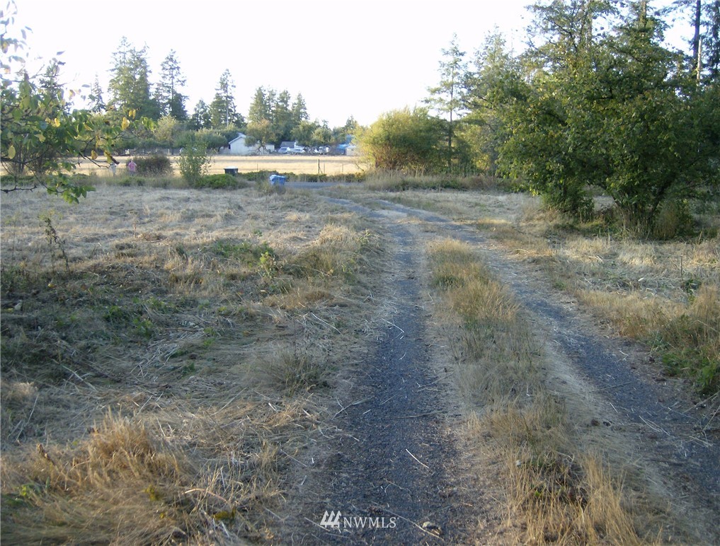 293 Hart Road Winlock, WA 98596 - Photo 5 of 14