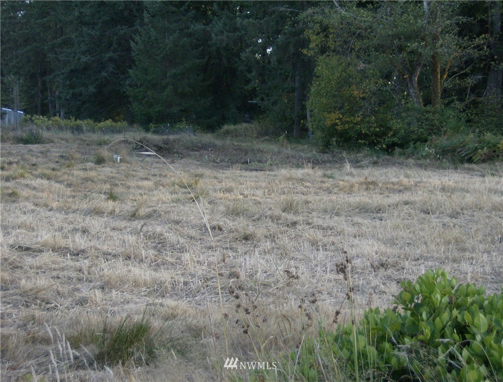 293 Hart Road Winlock, WA 98596 - Photo 7 of 14