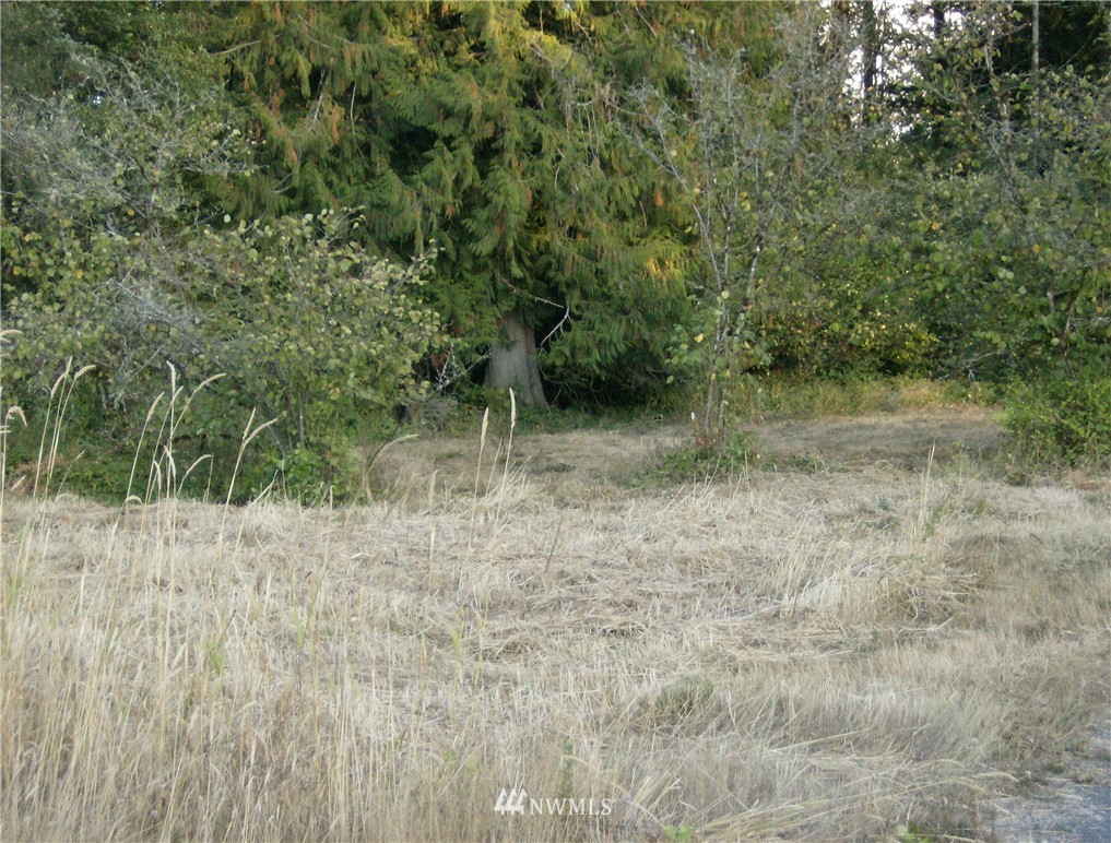 293 Hart Road Winlock, WA 98596 - Photo 8 of 14