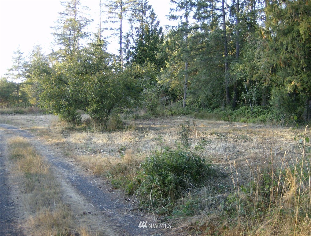 293 Hart Road Winlock, WA 98596 - Photo 9 of 14