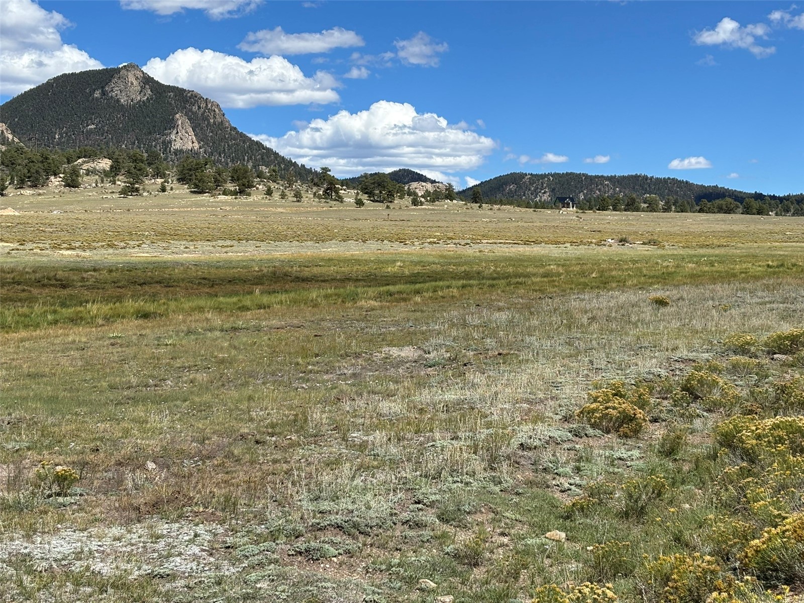 11065 Larimer Road Lake George, CO 80827 - Photo 3 of 17 Gallery Image 3