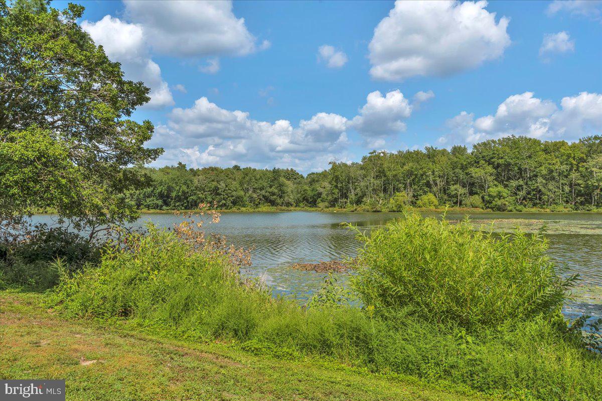 217 South Main Street Elmer, NJ 08318 - Photo 23 of 25 a view of lake with green space