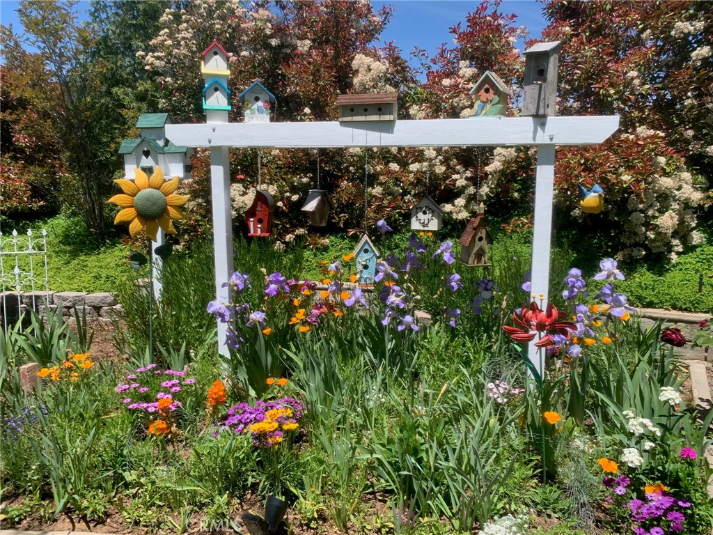 10684 Lakeview Road Yucaipa, CA 92399 - Photo 55 of 63 Lovely birdhouse trellis flower area