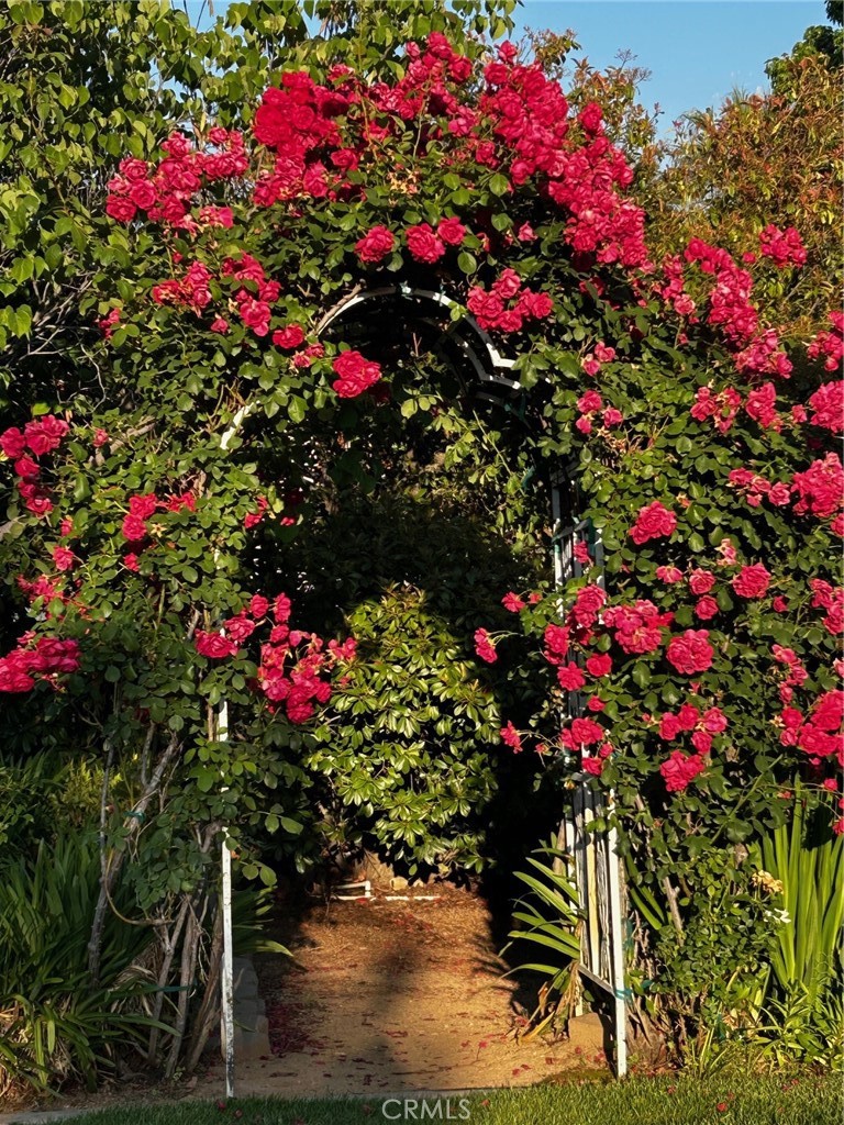 10684 Lakeview Road Yucaipa, CA 92399 - Photo 58 of 63 Beautiful rose covered archway entrance to the orchard and RV pad