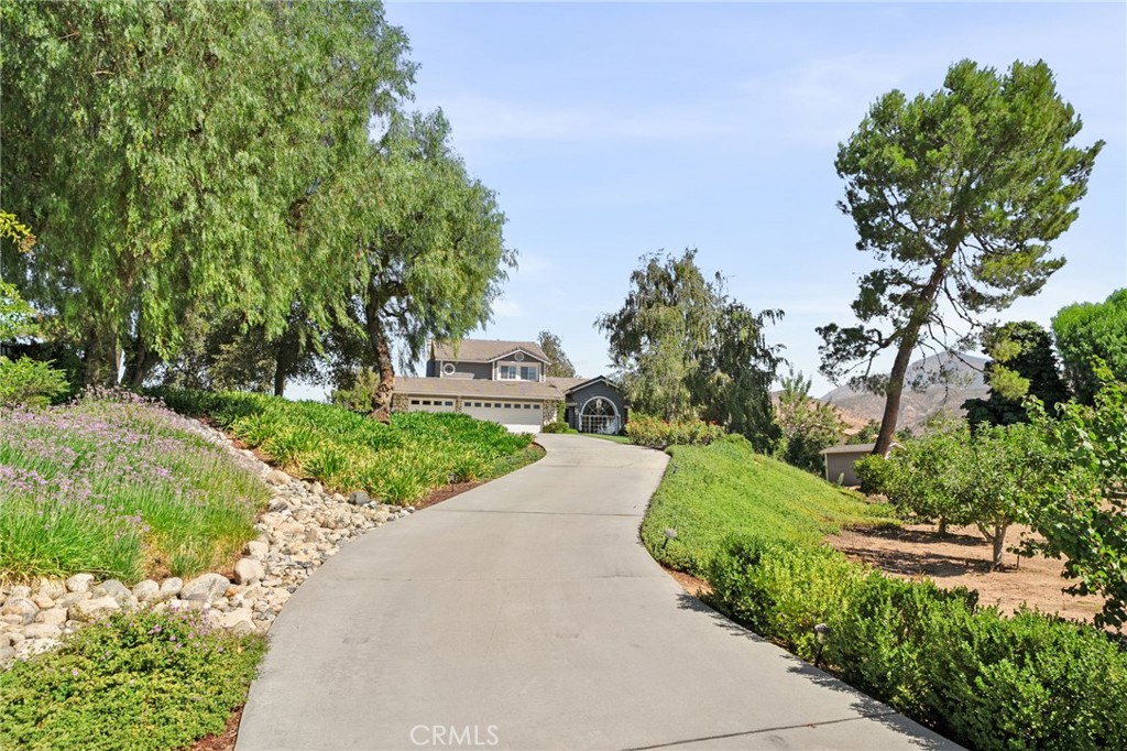 10684 Lakeview Road Yucaipa, CA 92399 - Photo 6 of 63 a view of a street with a tree