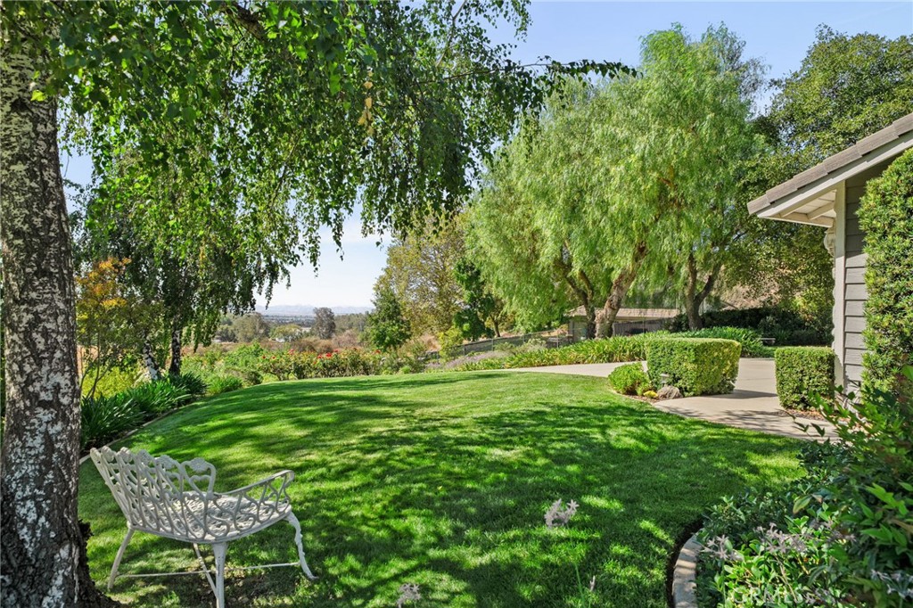 10684 Lakeview Road Yucaipa, CA 92399 - Photo 9 of 63 a view of a grassy field with trees in the background