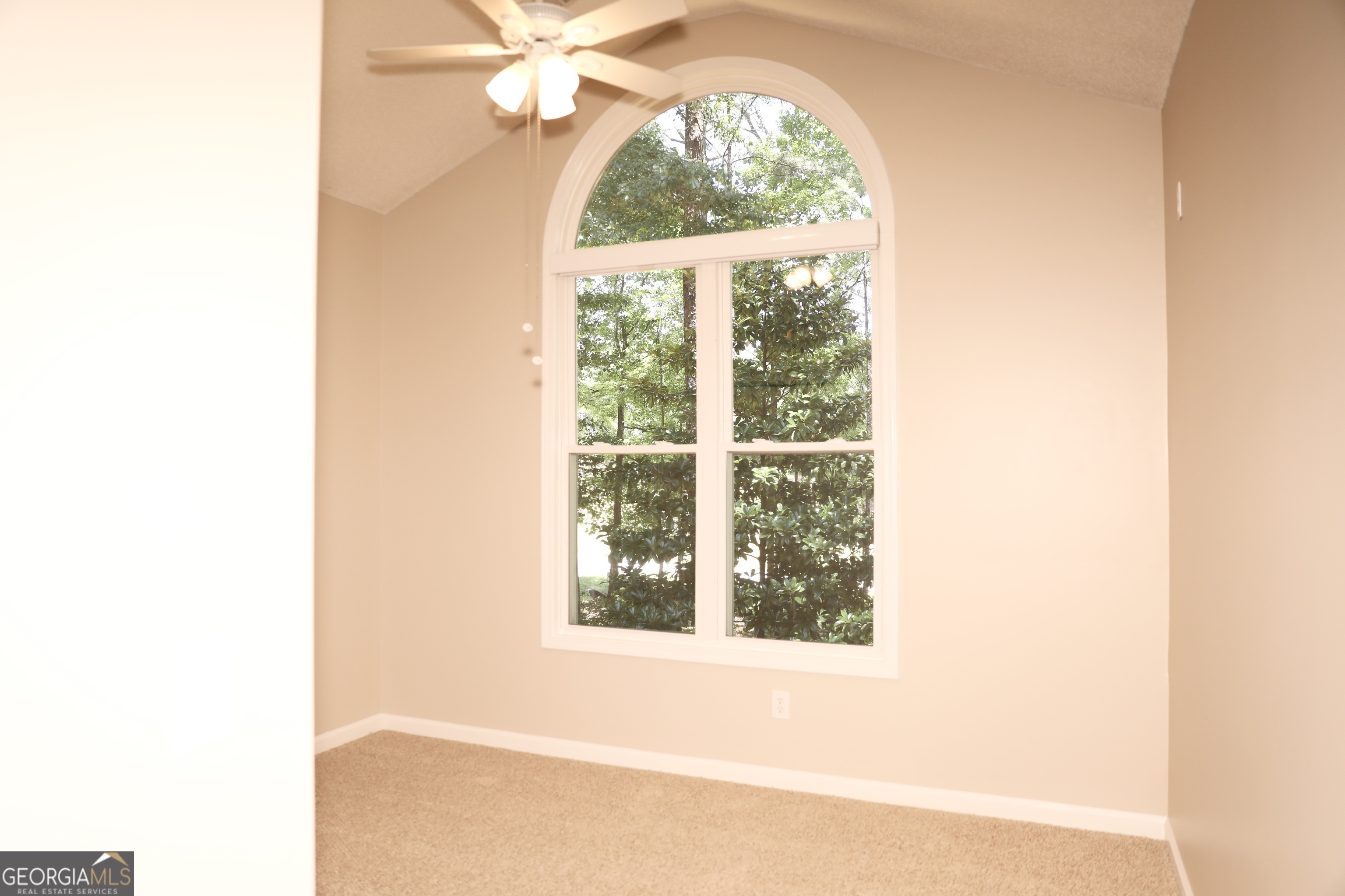 139 Pete Road Sharpsburg, GA 30277 - Photo 26 of 37