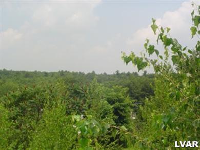 6376 Blueberry Road Stroudsburg, PA 18360 - Photo 4 of 12 a view of a garden