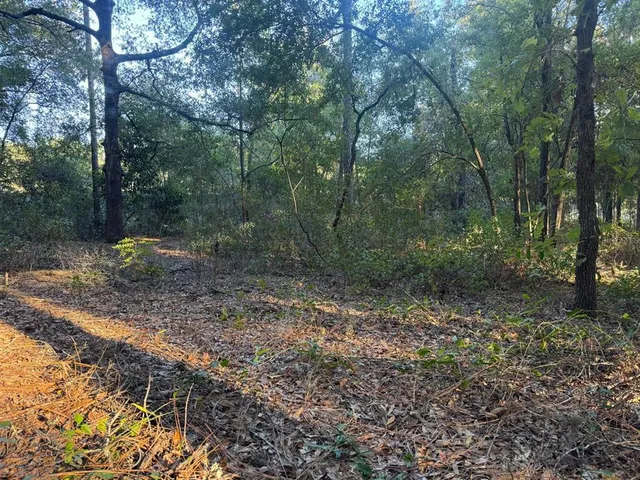 $79,990 | 66 Southwest Sw Street, Ocala, FL 34481