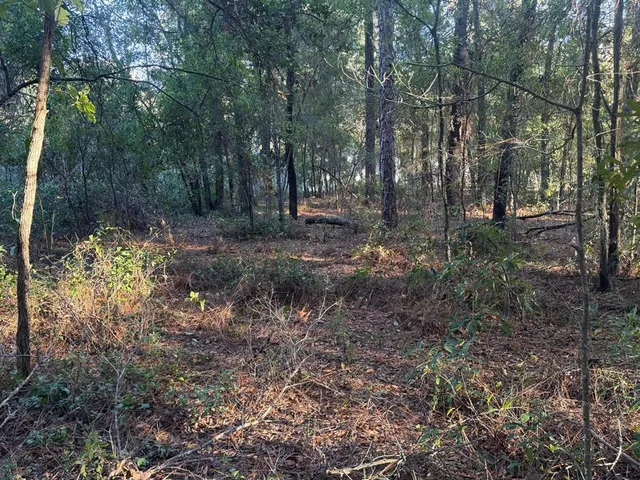 $79,990 | 66 Southwest Sw Street, Ocala, FL 34481