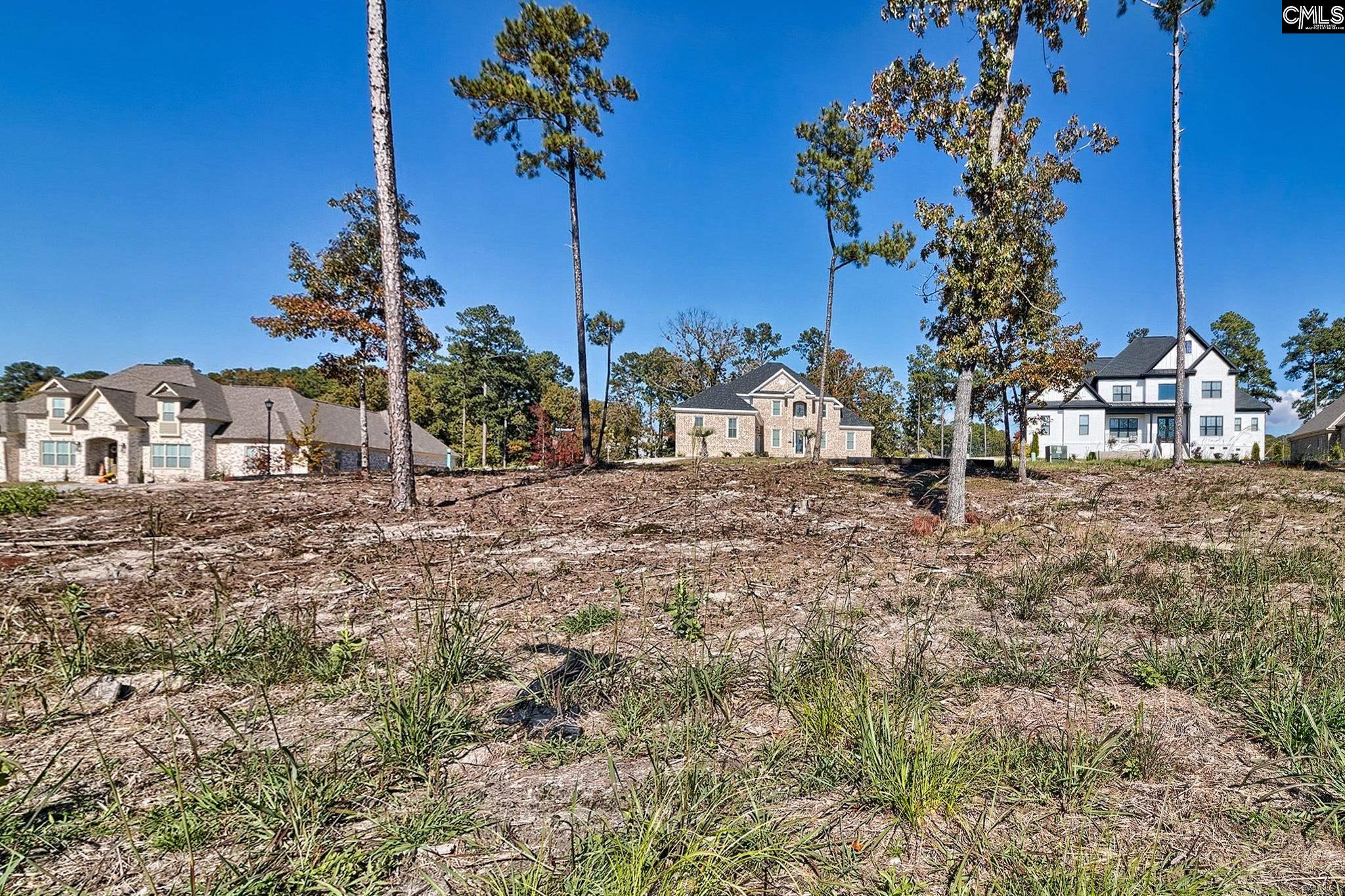 183 Coopers Nursery Road Elgin, SC 29045 - Photo 5 of 14