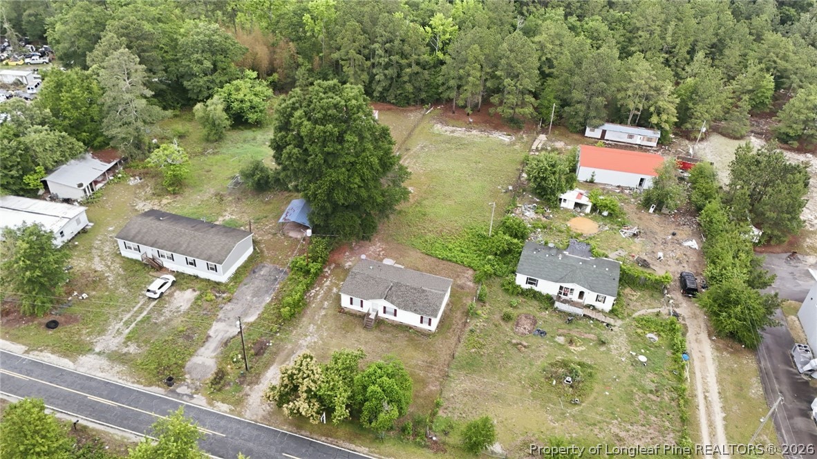 664 Sandy Grove Road Lumber Bridge, NC 28357 - Photo 6 of 37