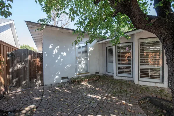 a tree in the house next to a yard
