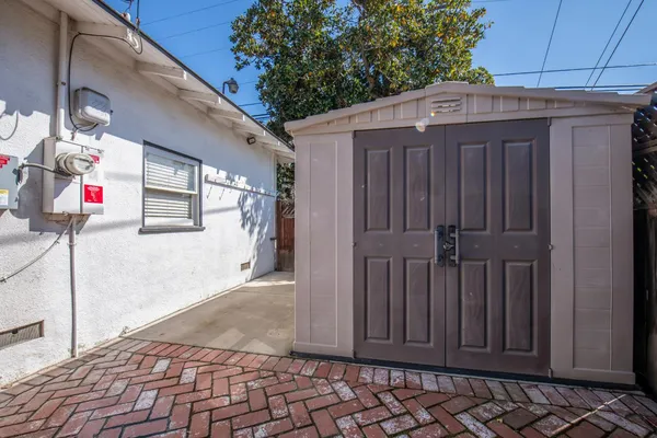 a view of a backyard with a large tree