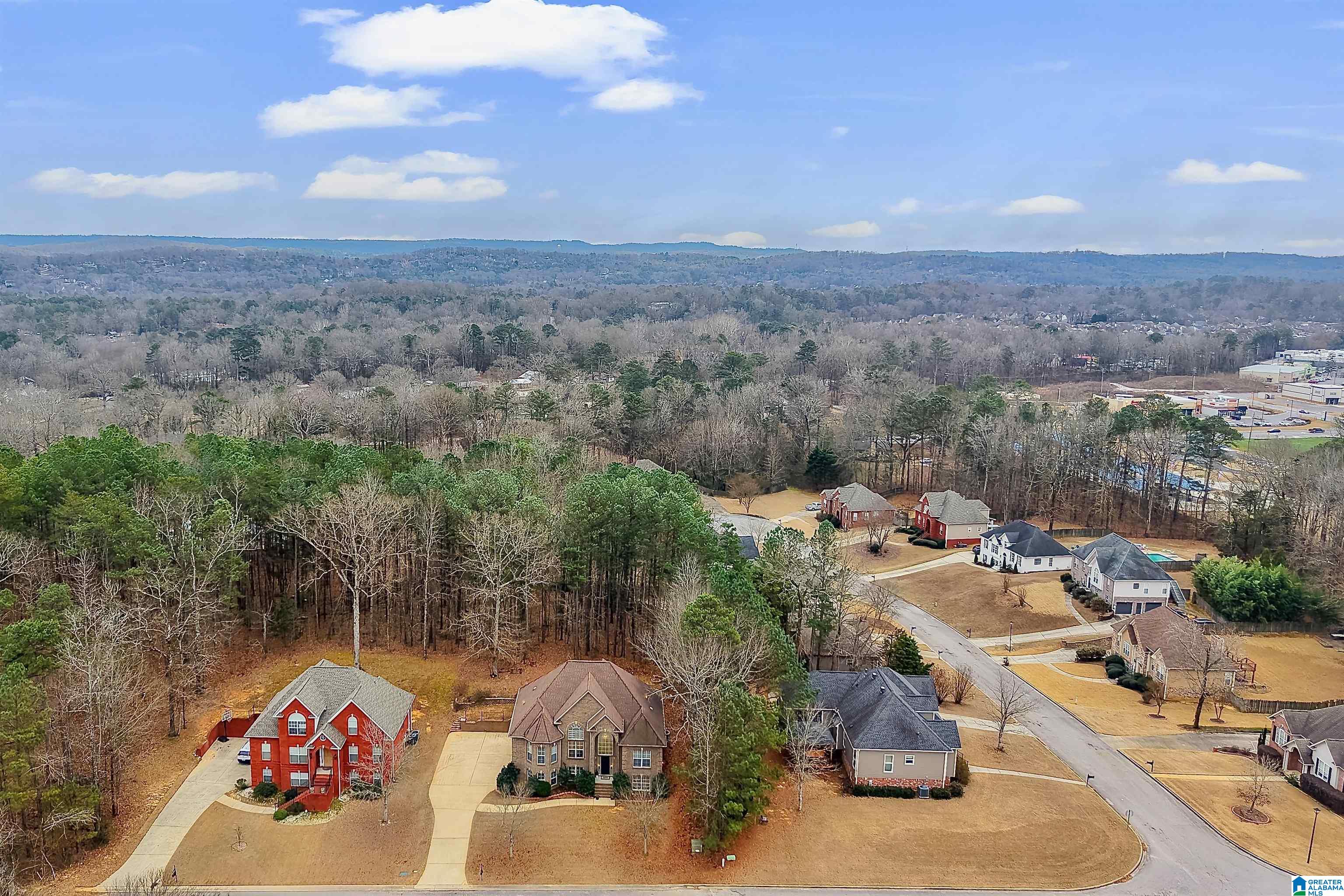 4088 Falliston Drive Helena, AL 35080 - Photo 5 of 57