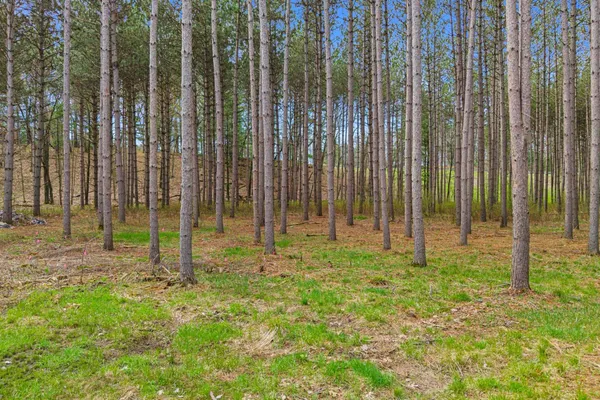 $739,000 | 222 County Rd Z, Nekoosa, WI 54457