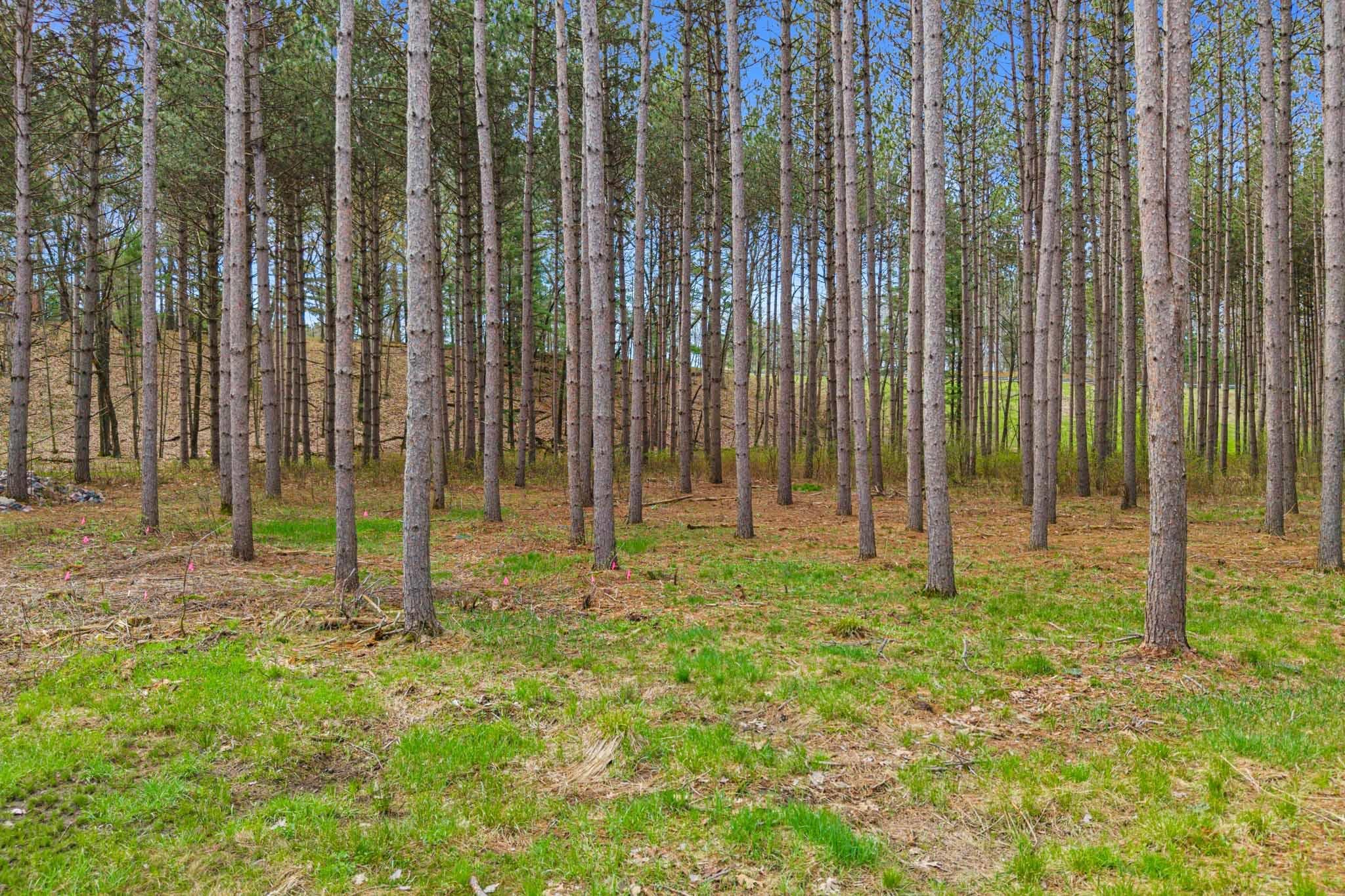 222 County Rd Z Nekoosa, WI 54457 - Photo 49 of 54