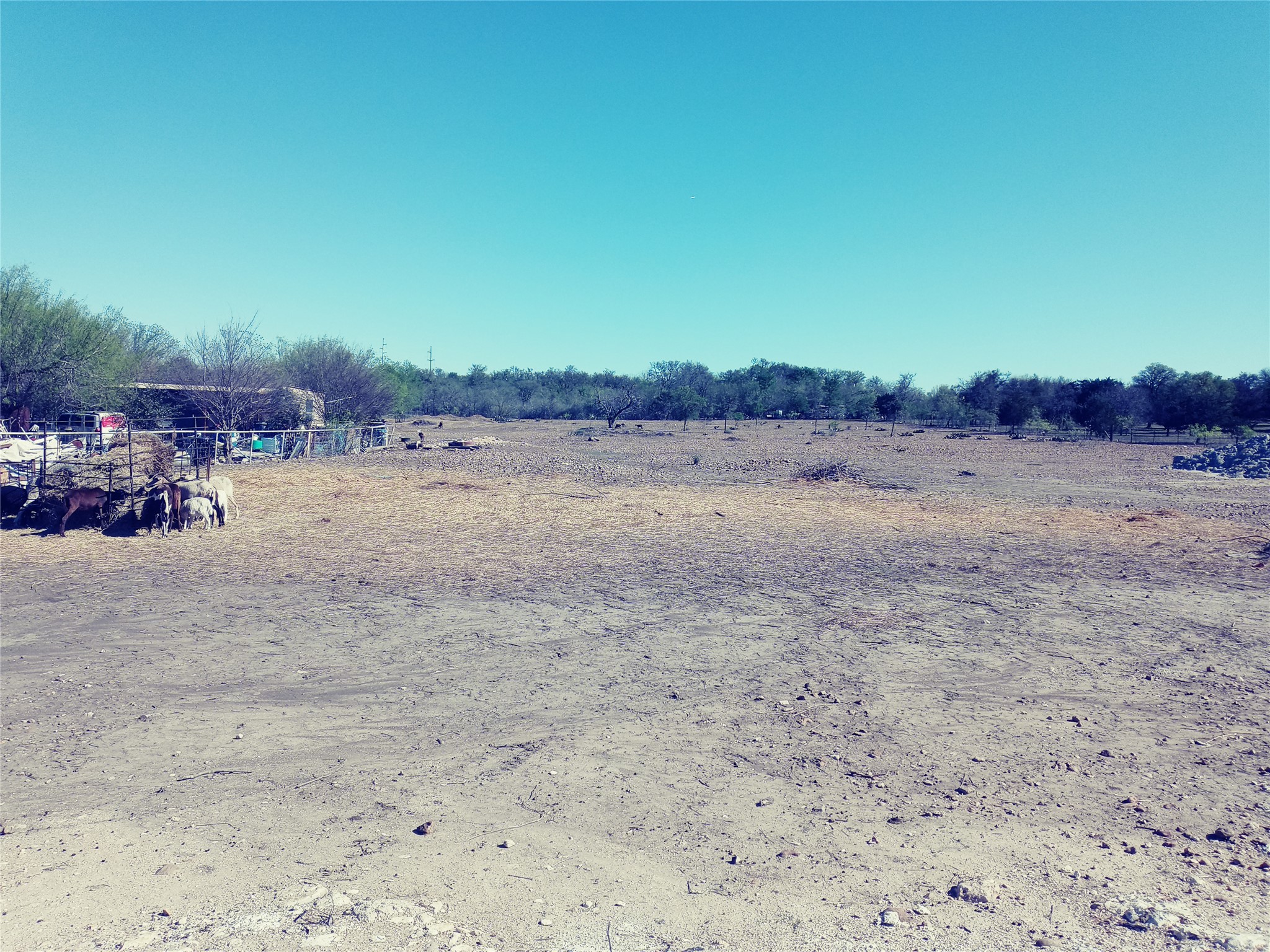 11717 Schriber Road, Unit B Buda, TX 78610 - Photo 6 of 7 a view of dirt road with a building in the background